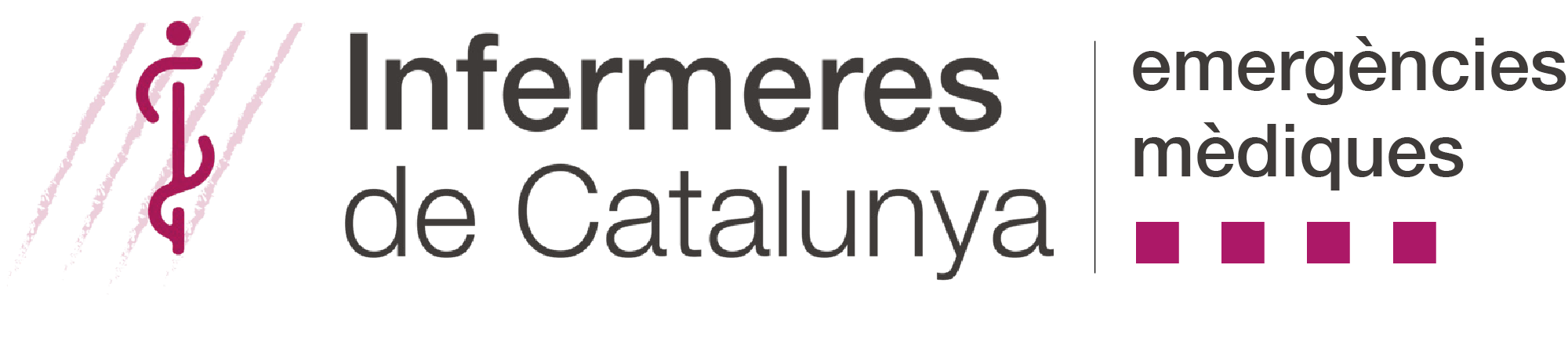 Infermeres de Catalunya al SEM