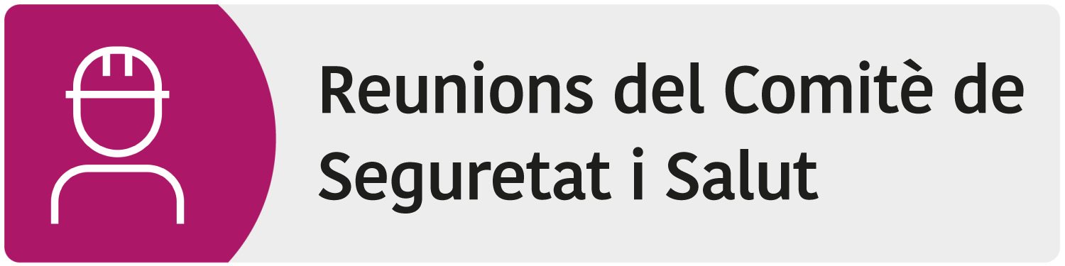 P - Comite CSS